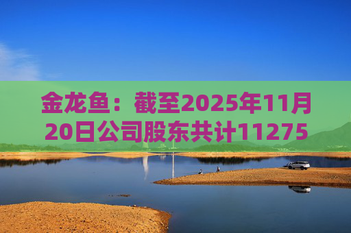 金龙鱼：截至2025年11月20日公司股东共计112754户