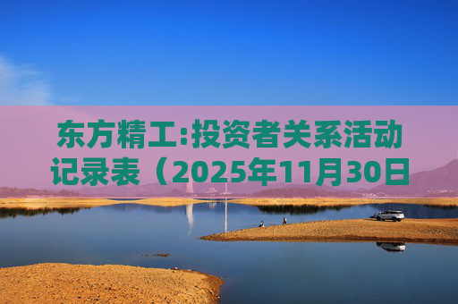 东方精工:投资者关系活动记录表（2025年11月30日）