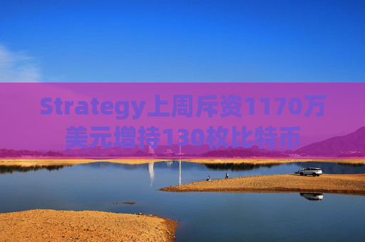Strategy上周斥资1170万美元增持130枚比特币