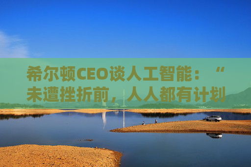 希尔顿CEO谈人工智能：“未遭挫折前，人人都有计划”  第1张