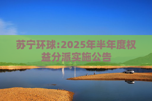 苏宁环球:2025年半年度权益分派实施公告