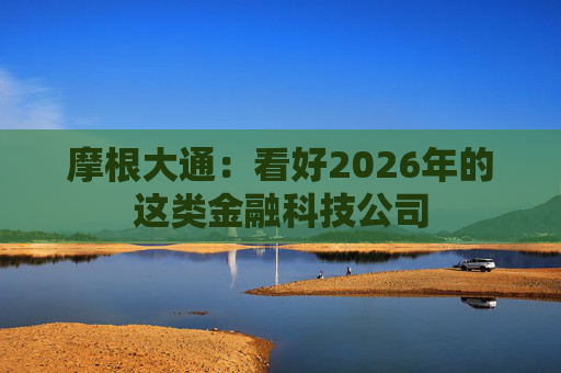 摩根大通：看好2026年的这类金融科技公司