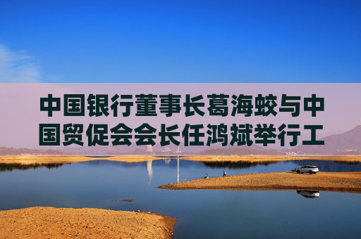 中国银行董事长葛海蛟与中国贸促会会长任鸿斌举行工作会谈