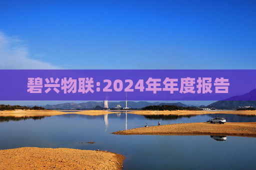 碧兴物联:2024年年度报告