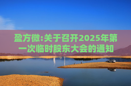 盈方微:关于召开2025年第一次临时股东大会的通知