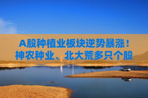 A股种植业板块逆势暴涨！神农种业、北大荒多只个股涨停，后市怎么走？