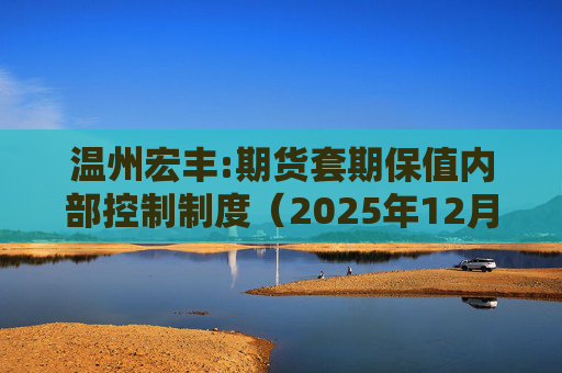 温州宏丰:期货套期保值内部控制制度（2025年12月修订）
