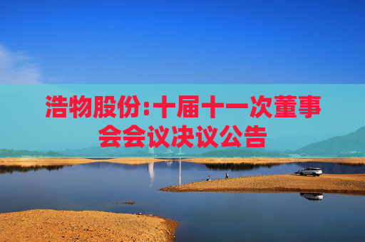 浩物股份:十届十一次董事会会议决议公告
