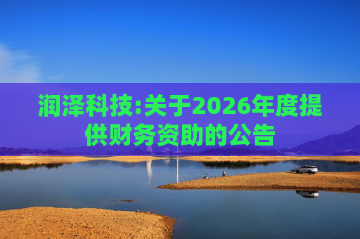 润泽科技:关于2026年度提供财务资助的公告