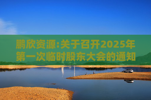 鹏欣资源:关于召开2025年第一次临时股东大会的通知