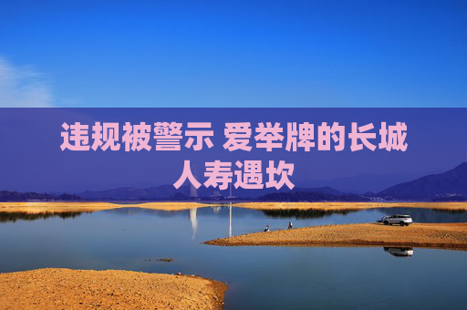 违规被警示 爱举牌的长城人寿遇坎  第1张