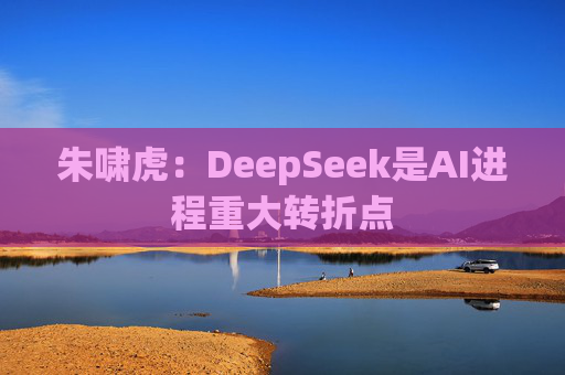 朱啸虎：DeepSeek是AI进程重大转折点