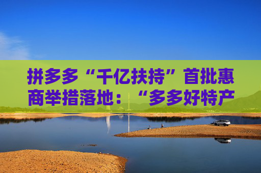 拼多多“千亿扶持”首批惠商举措落地：“多多好特产”等专项启动  第1张