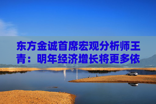 东方金诚首席宏观分析师王青：明年经济增长将更多依靠内需发力