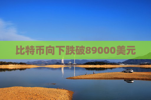 比特币向下跌破89000美元