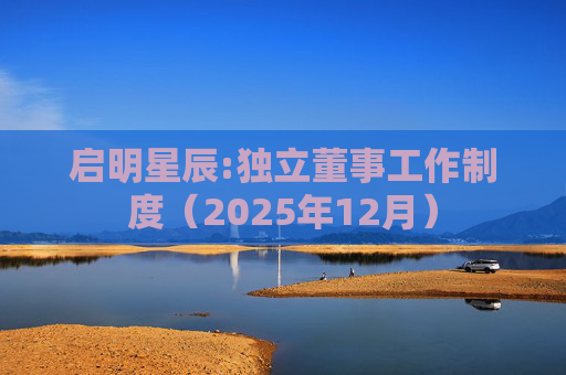 启明星辰:独立董事工作制度（2025年12月）