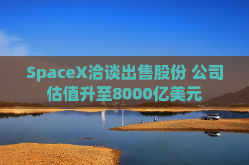 SpaceX洽谈出售股份 公司估值升至8000亿美元