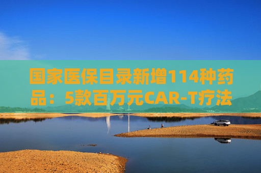 国家医保目录新增114种药品：5款百万元CAR-T疗法纳入商保，企业代表直呼这是“重要里程碑”