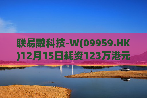 联易融科技-W(09959.HK)12月15日耗资123万港元回购53.3万股