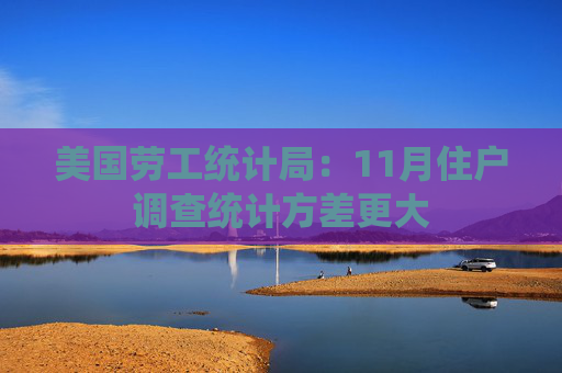 美国劳工统计局：11月住户调查统计方差更大