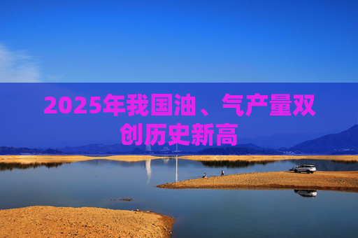 2025年我国油、气产量双创历史新高