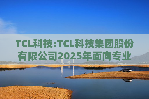 TCL科技:TCL科技集团股份有限公司2025年面向专业投资者公开发行科技创新公司债券（数字经济）（第一期）发行公告