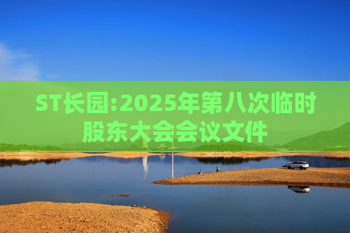 ST长园:2025年第八次临时股东大会会议文件