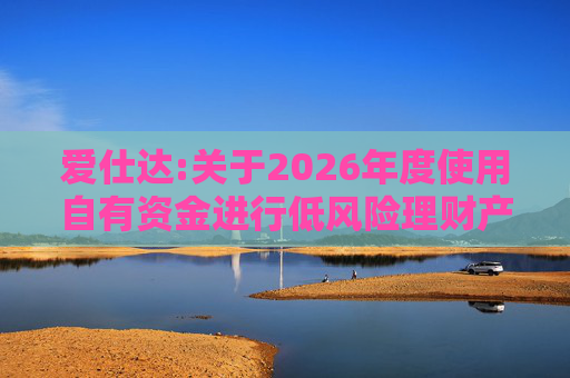 爱仕达:关于2026年度使用自有资金进行低风险理财产品投资的公告