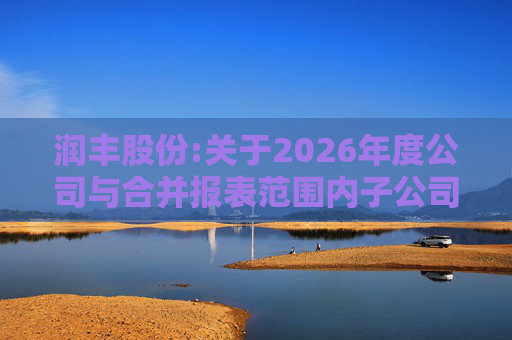 润丰股份:关于2026年度公司与合并报表范围内子公司相互担保的公告