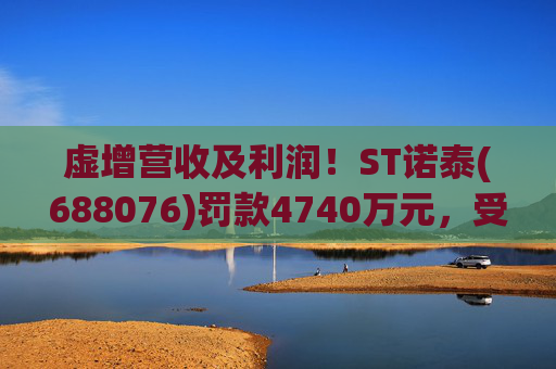 虚增营收及利润！ST诺泰(688076)罚款4740万元，受损投资者可索赔！