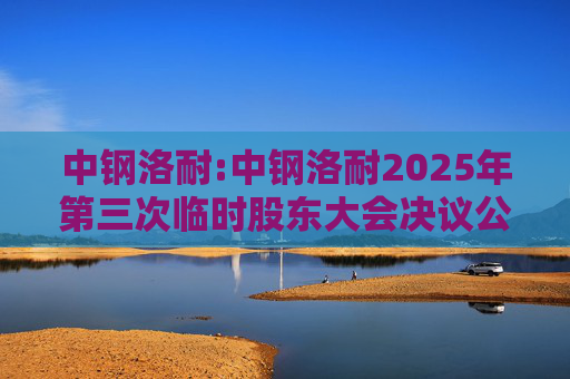中钢洛耐:中钢洛耐2025年第三次临时股东大会决议公告