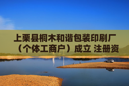 上栗县桐木和谐包装印刷厂（个体工商户）成立 注册资本80万人民币