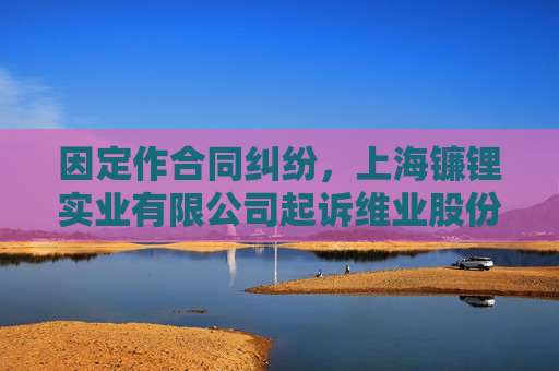 因定作合同纠纷，上海镰锂实业有限公司起诉维业股份等  第1张