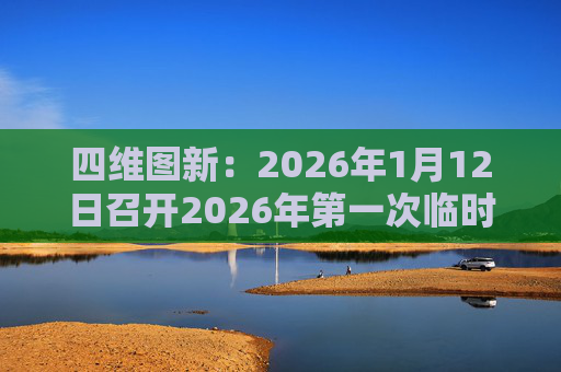 四维图新：2026年1月12日召开2026年第一次临时股东会