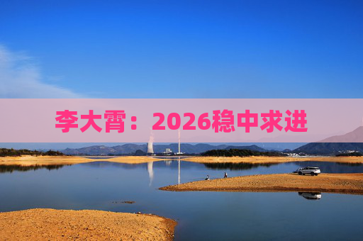 李大霄：2026稳中求进