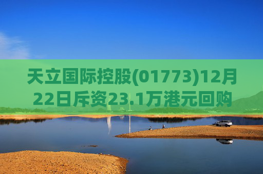天立国际控股(01773)12月22日斥资23.1万港元回购10万股