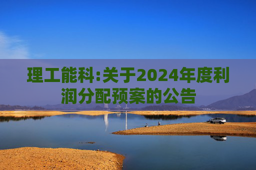 理工能科:关于2024年度利润分配预案的公告  第1张