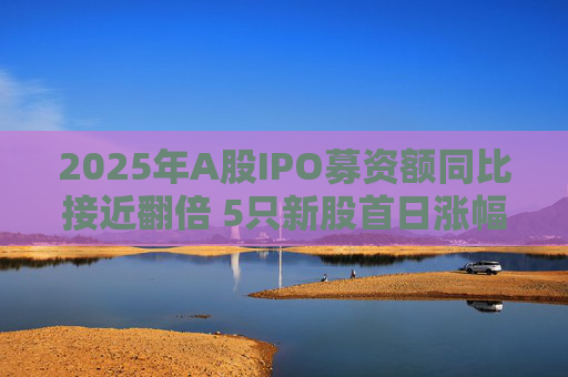 2025年A股IPO募资额同比接近翻倍 5只新股首日涨幅超6倍