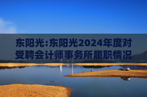 东阳光:东阳光2024年度对受聘会计师事务所履职情况的评估报告