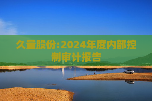 久量股份:2024年度内部控制审计报告