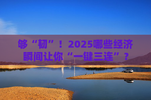够“韧”！2025哪些经济瞬间让你“一键三连”？