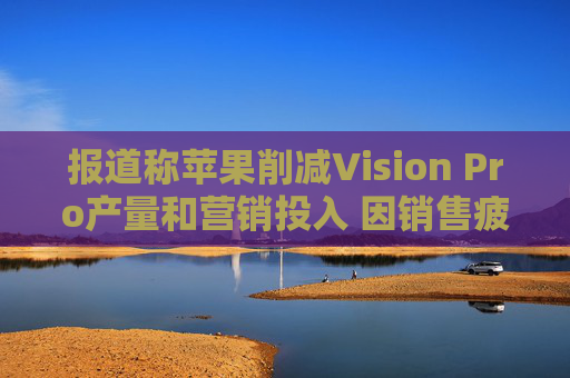 报道称苹果削减Vision Pro产量和营销投入 因销售疲软  第1张