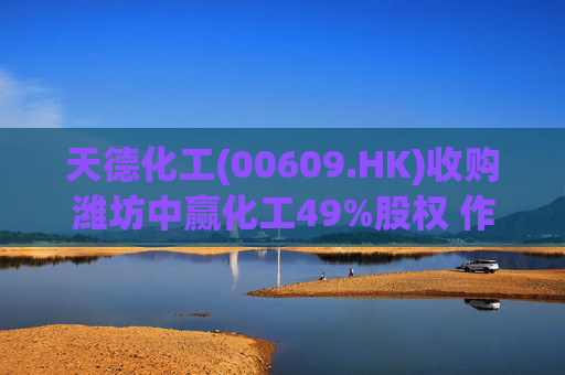 天德化工(00609.HK)收购潍坊中赢化工49%股权 作价8800万元