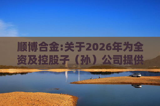 顺博合金:关于2026年为全资及控股子（孙）公司提供担保的公告