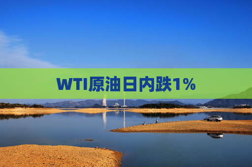 WTI原油日内跌1%