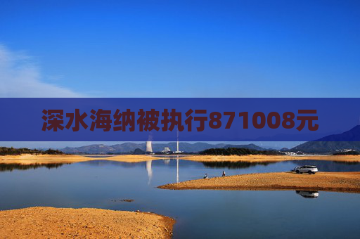 深水海纳被执行871008元