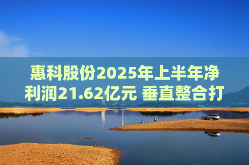 惠科股份2025年上半年净利润21.62亿元 垂直整合打造显示产业全链条优势