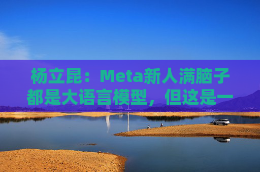 杨立昆：Meta新人满脑子都是大语言模型，但这是一条死胡同  第1张