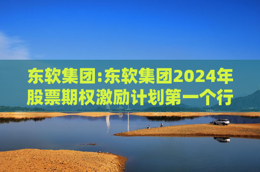 东软集团:东软集团2024年股票期权激励计划第一个行权期2025年第四季度自主行权结果暨股份变动的公告