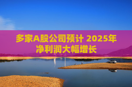 多家A股公司预计 2025年净利润大幅增长